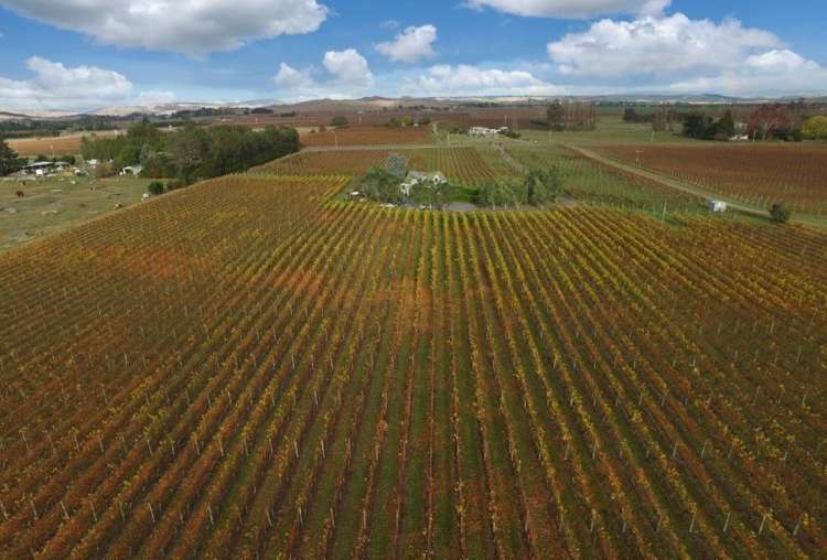 214 Ngatarawa Road Bridge Pa_15