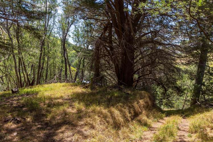 293A Manawa Road Tinui_33