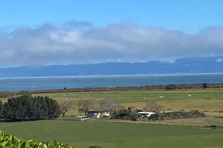 232 Tony Avenue Thames_11