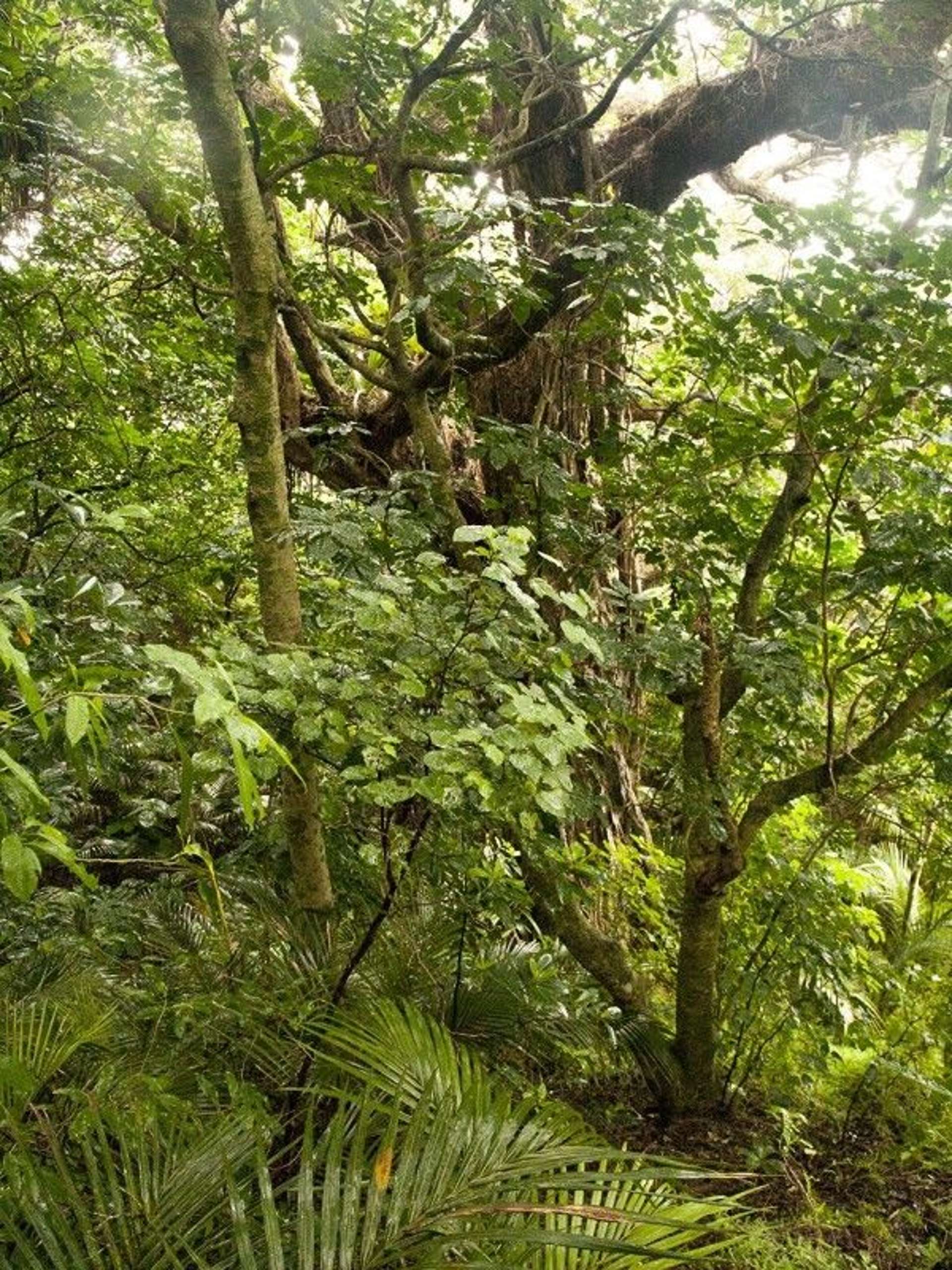 48 Glen Brook Road Omiha_0