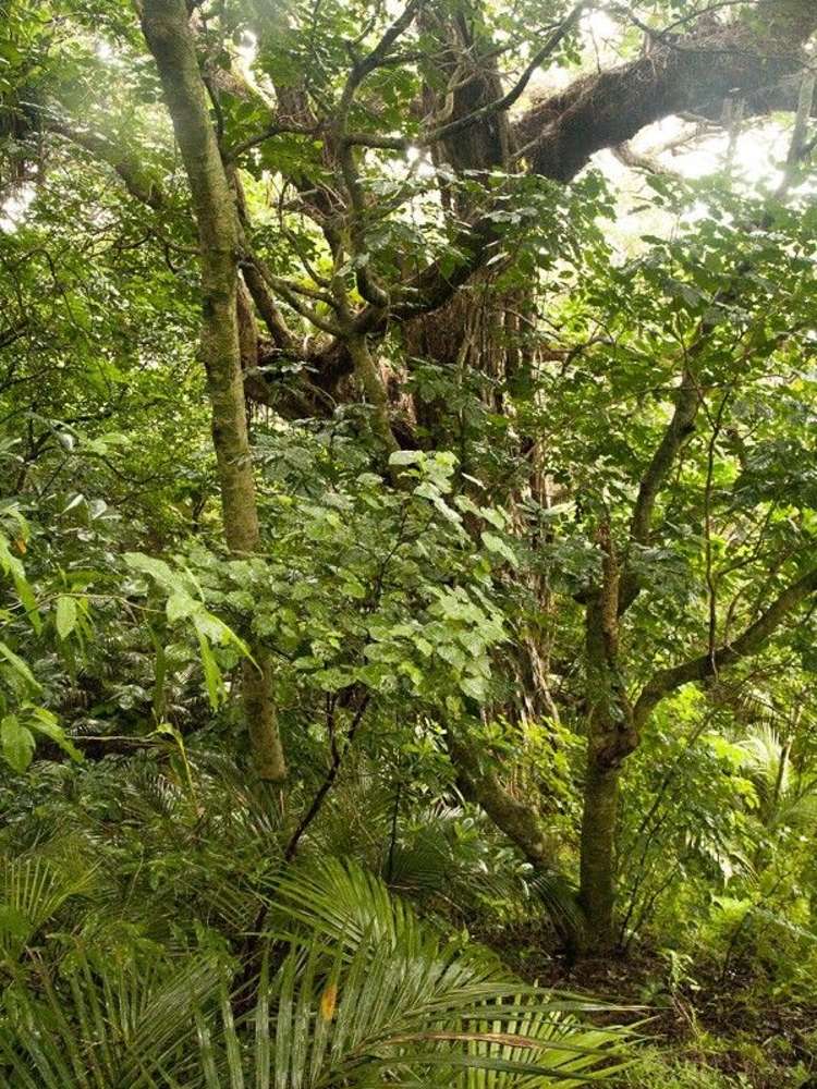 48 Glen Brook Road Omiha_0