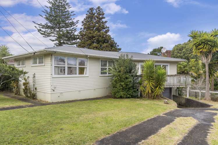 51 Eastdale Road Avondale_17