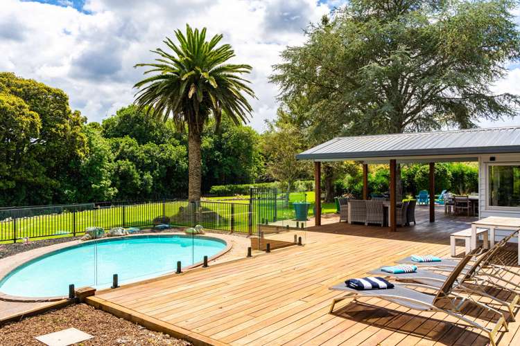 589 Ngunguru Road Glenbervie_6