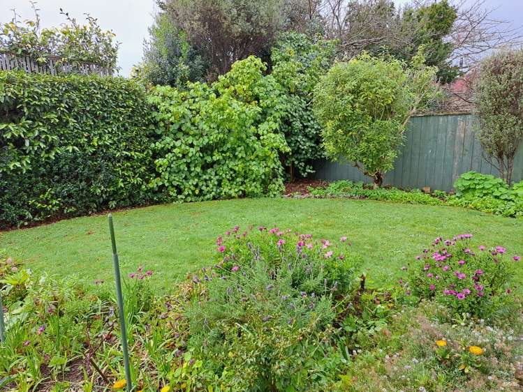 24b Rugby Street Levin_14