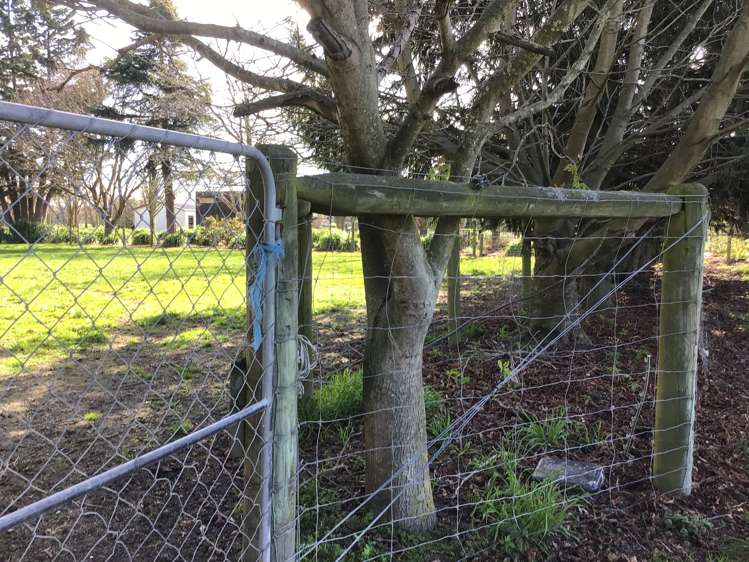 77 Beach Road East Elgin_19