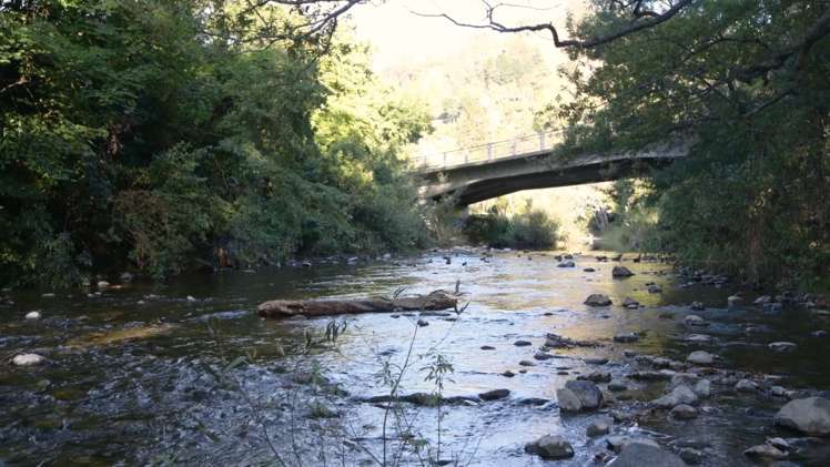 155 Nile Street Nelson City_12