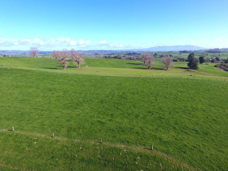 233B Kio Kio Station Road Otorohanga_28