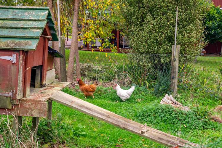 43b Nairn Road Hunua_14