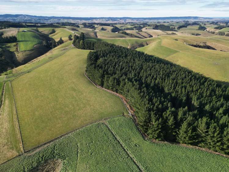 92 Cameron Road Hillend_18