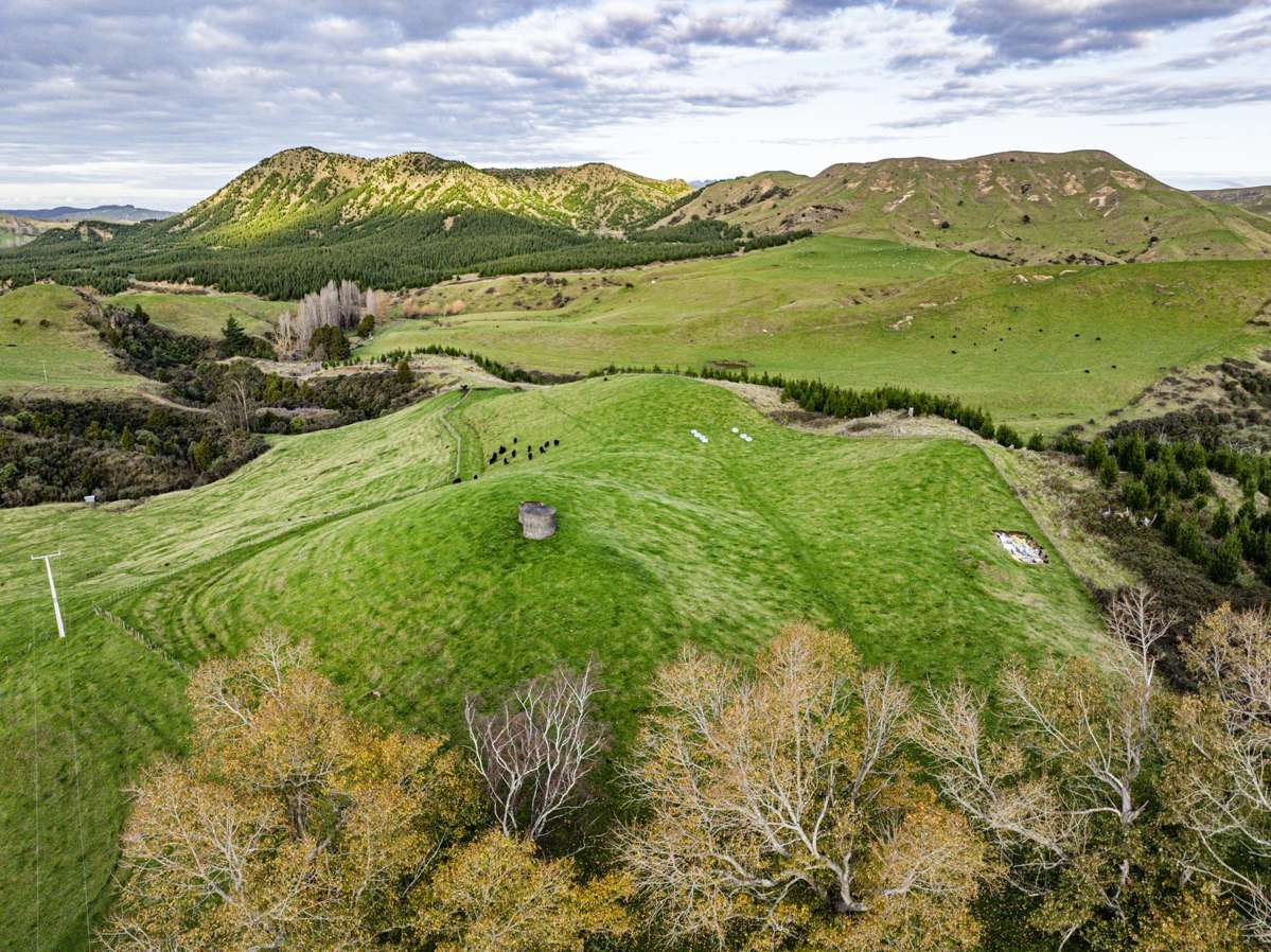 828 Matahorua Road_0