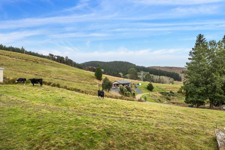 995 Berwick Road Berwick Forest_22