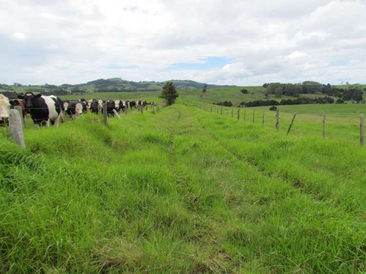 300 Gumtown Road Kamo_22