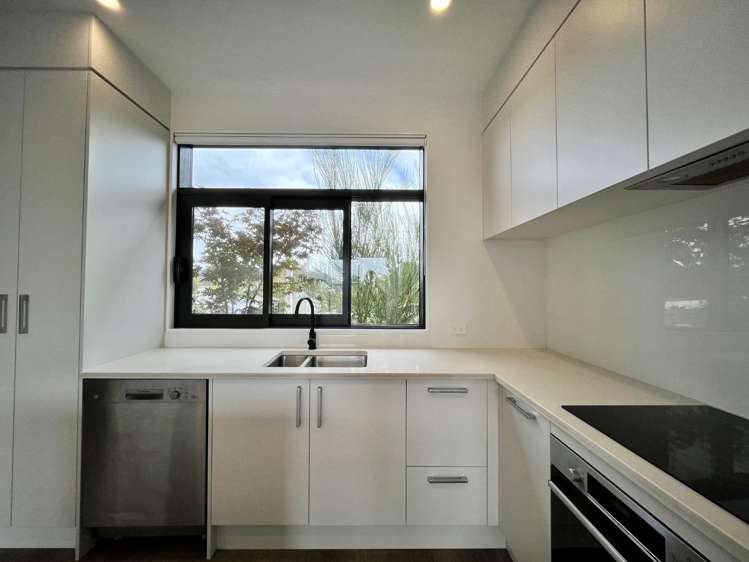 1/22 James Laurie Street 11401_3