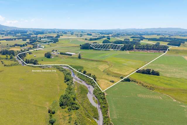 Quality dairy platform - 156 ha (STS)