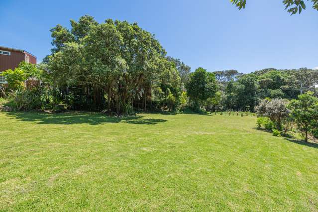 411 Motutara Road Muriwai_1