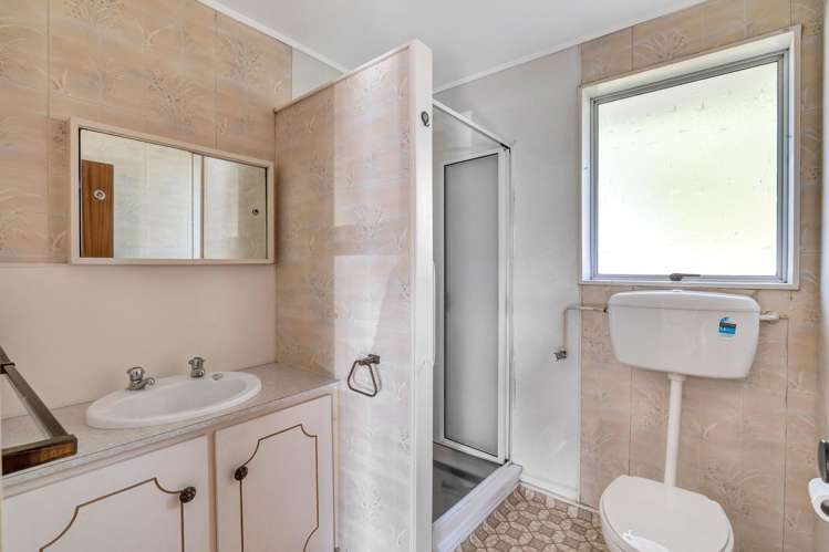 1A Saltash Street Upper Vogeltown_7