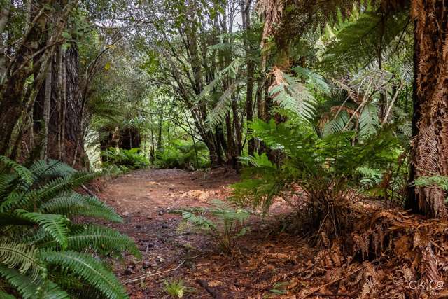 Zero Akatarawa Road Brown Owl_1