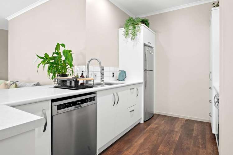 12A Kelvin Place Hamilton East_4