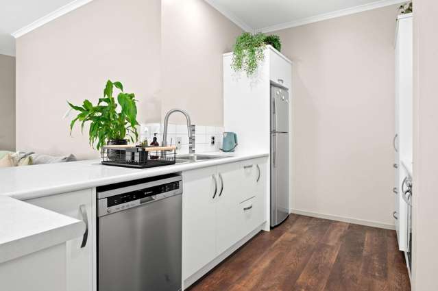 12a Kelvin Place Hamilton East_4