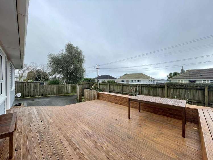 12 Karaka Street 2160_3