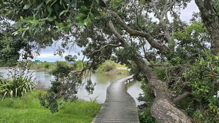 Unit C1/120 Hamilton Street Tauranga Central_10