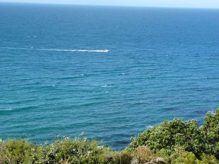 12 Oceana Heights Tairua_5