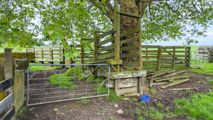 389 Lichfield Road Lichfield_24