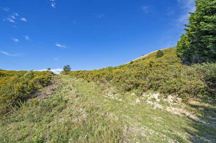 255 Glentui Bush Road Glentui_11