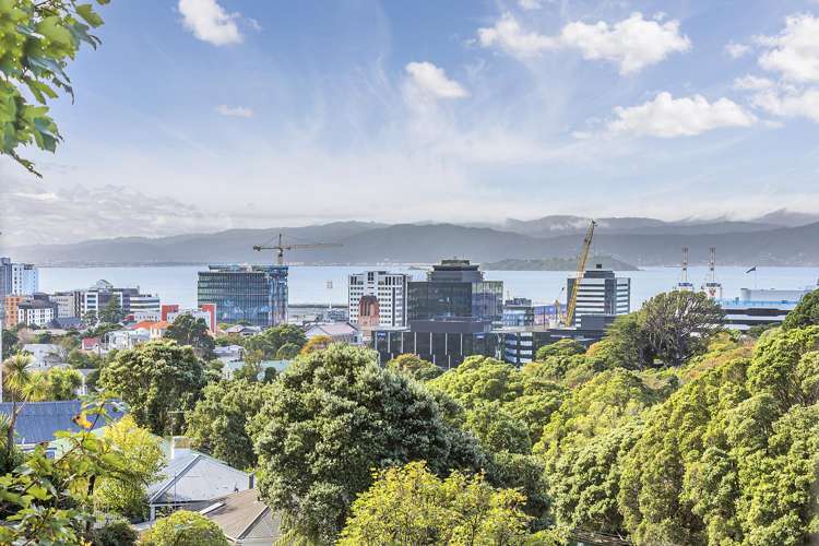 10 Kilmister Avenue Thorndon_16