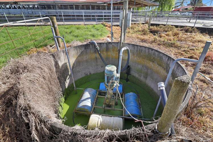 84 Goodwin Road Ohaupo_22