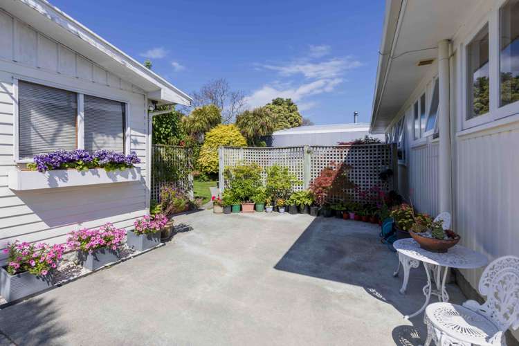 24 Plunket Street Tamatea_11