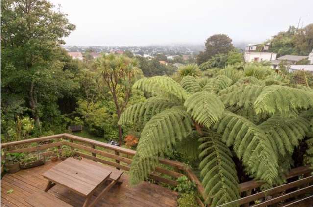 17 Pembroke Road Northland_1