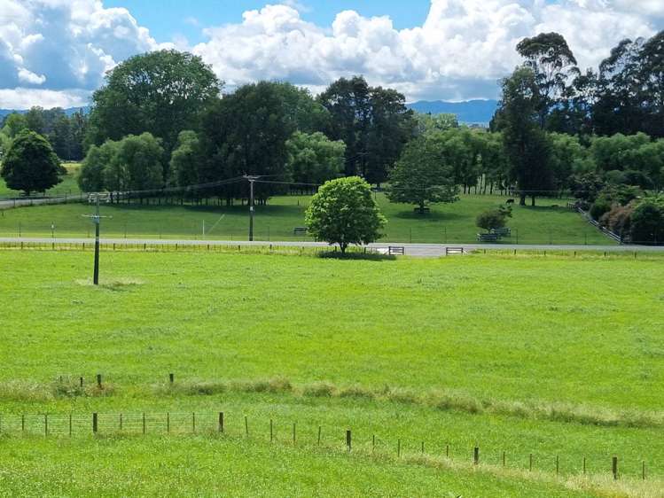 2/2 Hogg Road Onepu_12