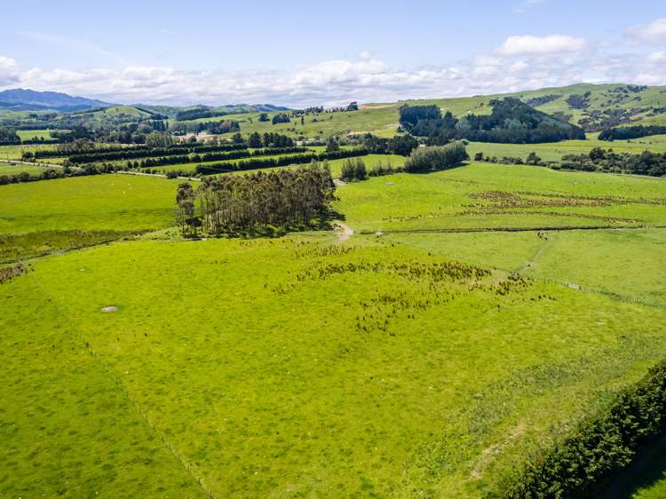 Lot 5, 216 Donovans Road Masterton_6