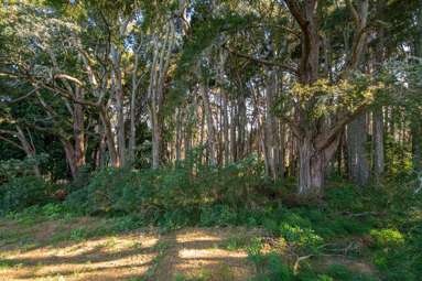Lot 19 Anderson Road_2
