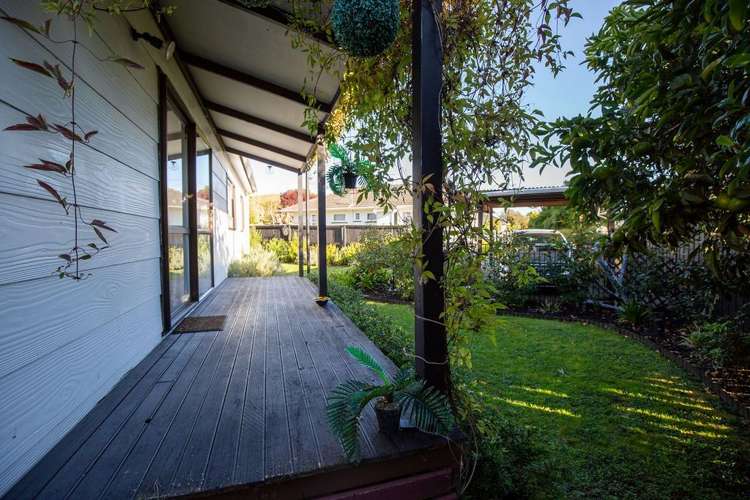 2/31 Manson Avenue Stoke_12