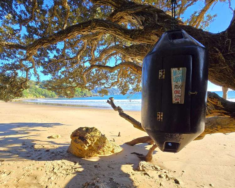 973 & 975 Tuateawa Road Little Bay_34