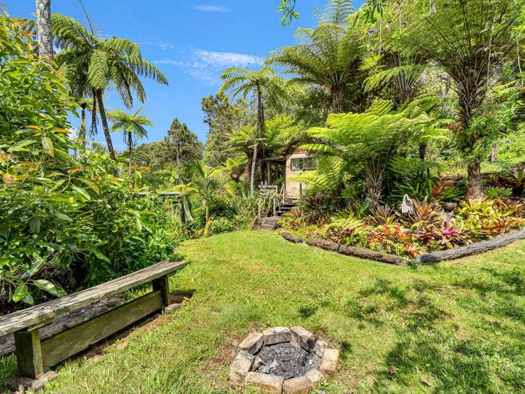 Ohiwa Loop Road Waiotahi_28