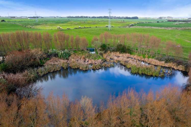 294 Kiri Road Te Kiri_30
