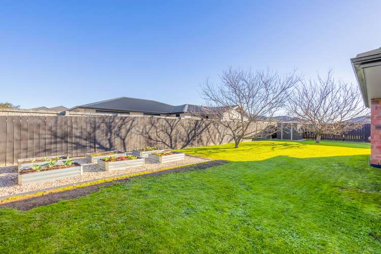 3 Birchwood Lane Matamata_23