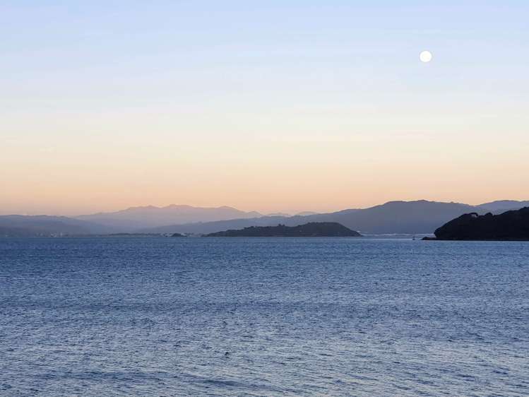 2/148 Evans Bay Parade Roseneath_25