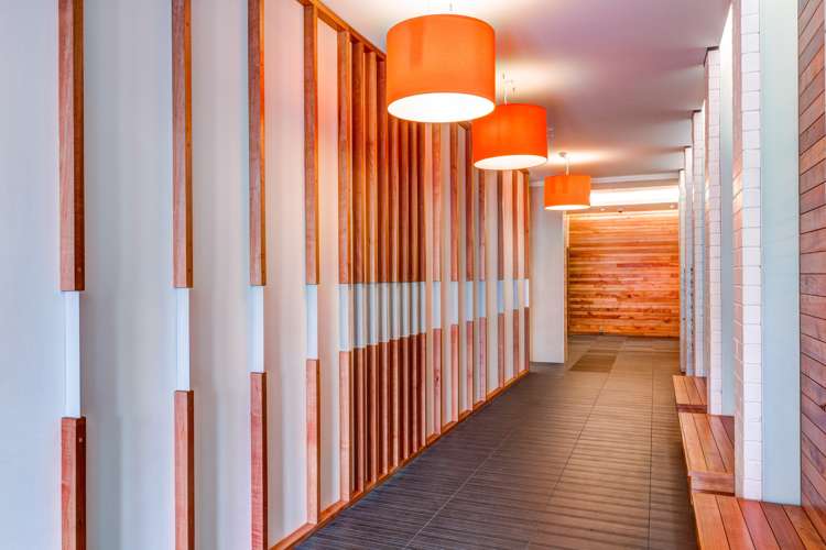 6a/10 Lorne Street Te Aro_12