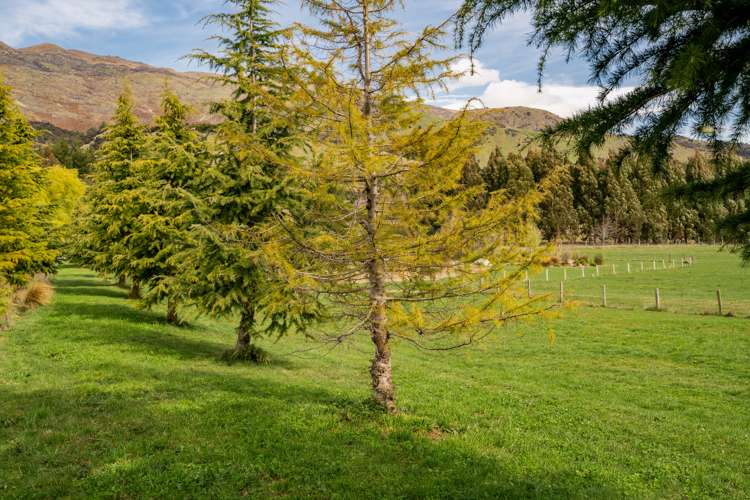 930 Mount Barker Road Wanaka_8