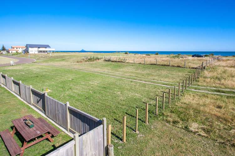 17 Rimu Rimu Key Opotiki and Surrounds_6