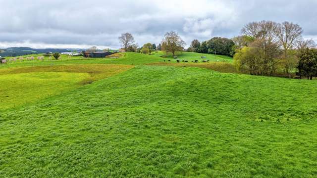 Pine Road Putaruru_4