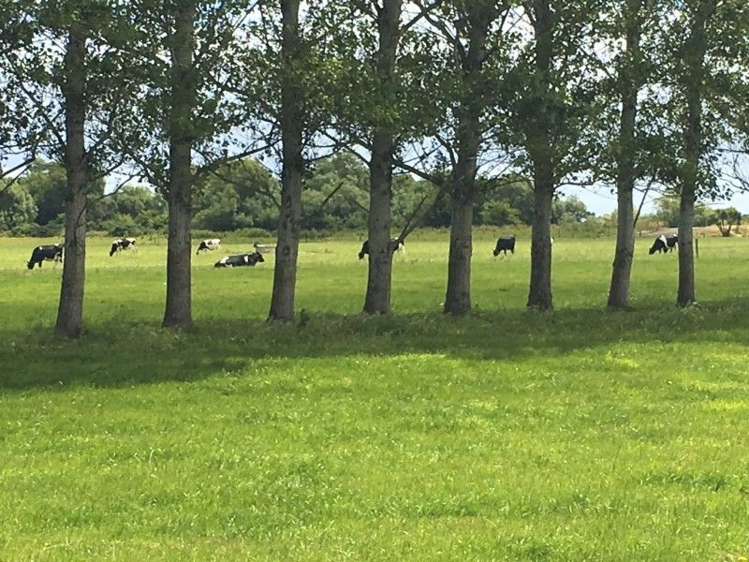 293 Forbes Road Winton Surrounds_11