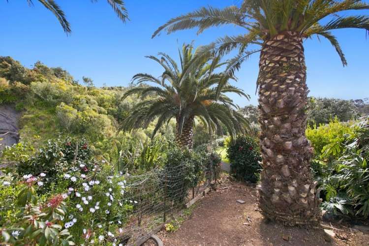 44 Rangitake Drive Spotswood_17