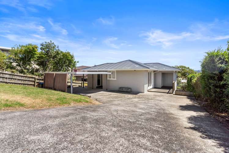 19 Layard Street Avondale_16