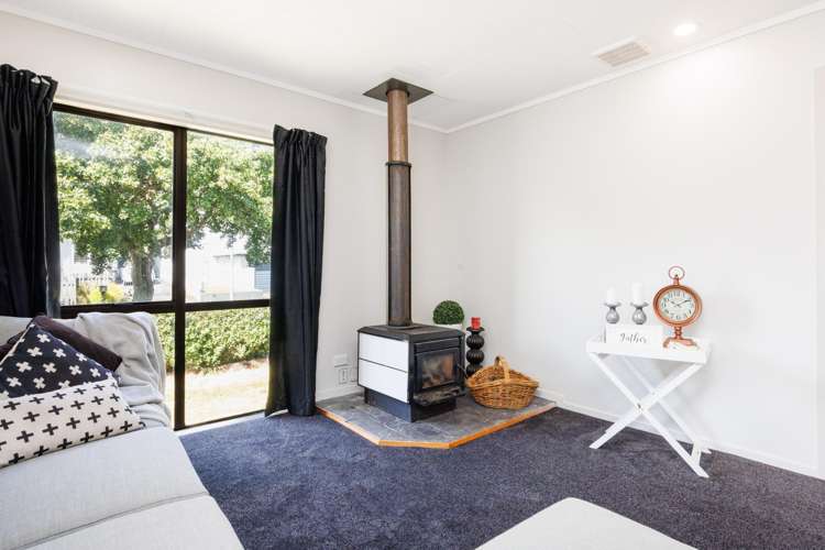 4 Ngarimu Street Roslyn_19