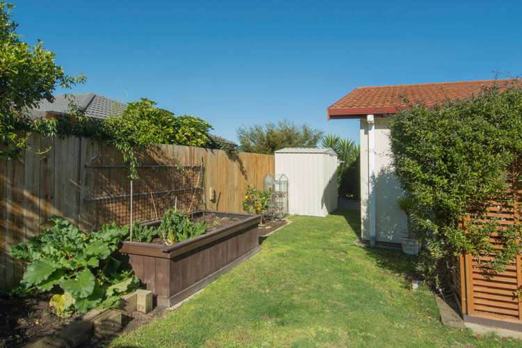 56 Oreti Crescent Papamoa_19